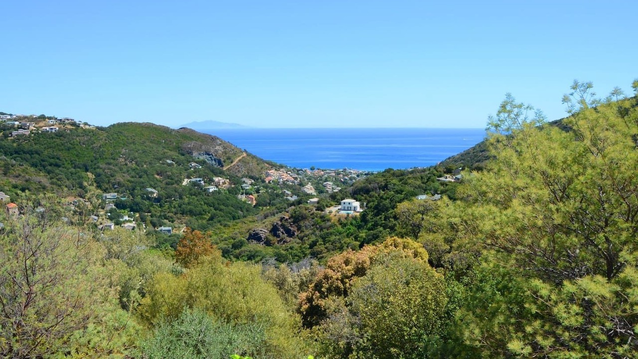 Photo of Others in Figarella