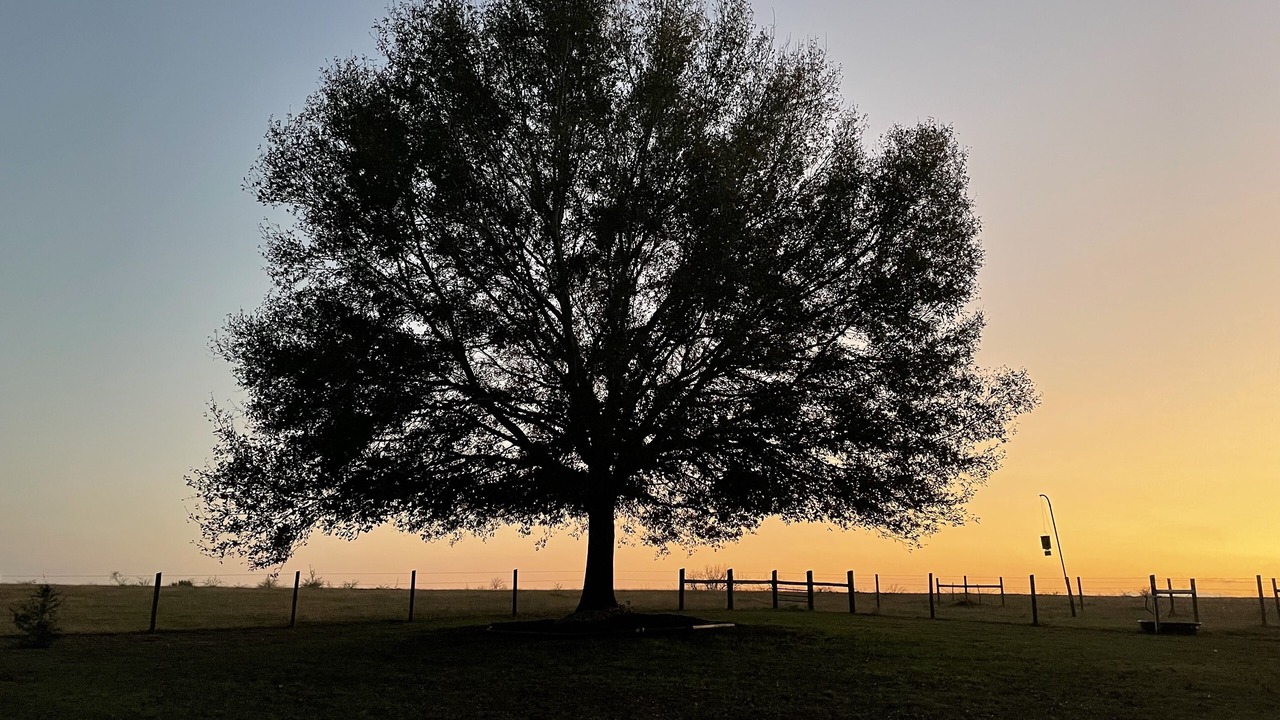 Photo of Outdoor in Brenham