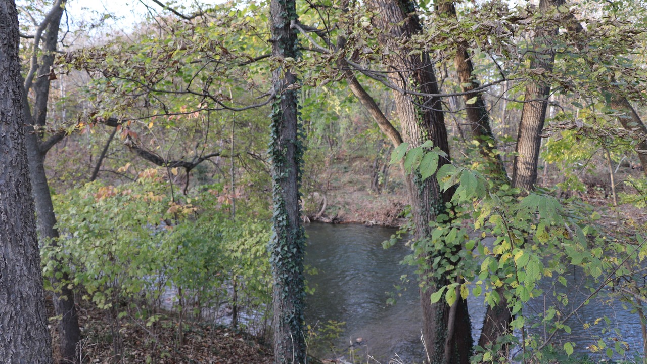 Photo of Outdoor in Broadway