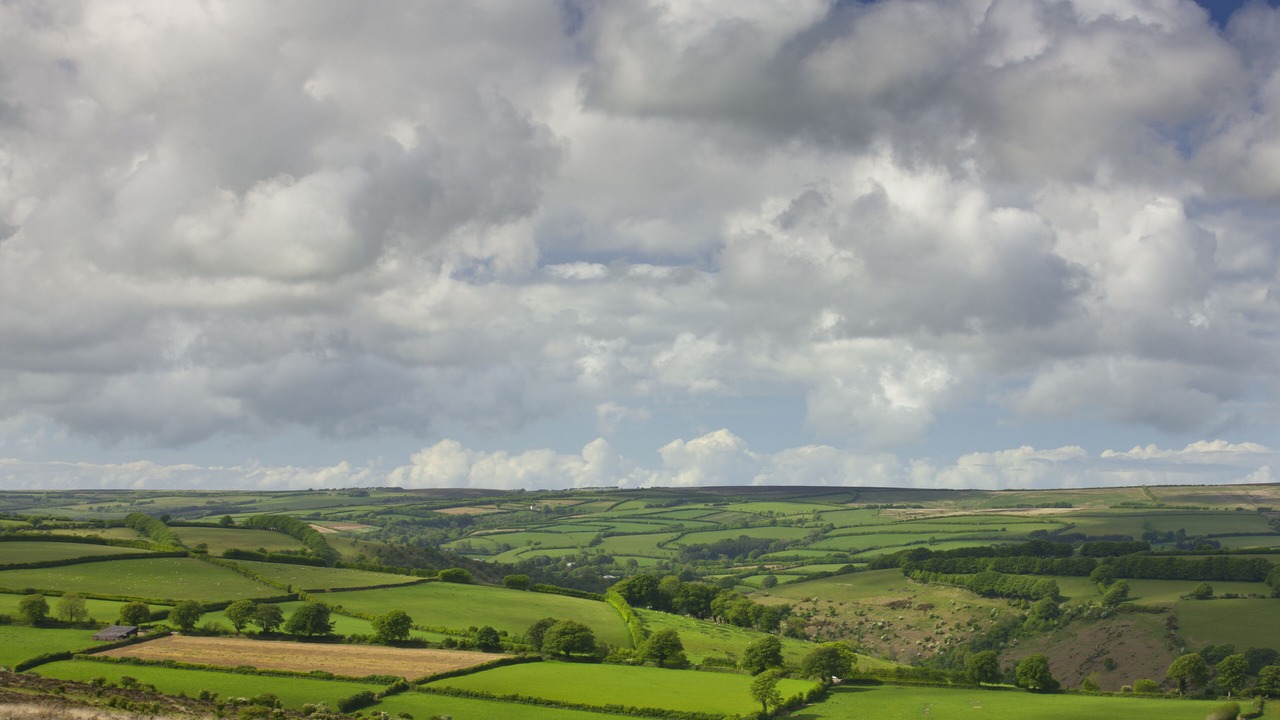 Photo of Others in Liscombe