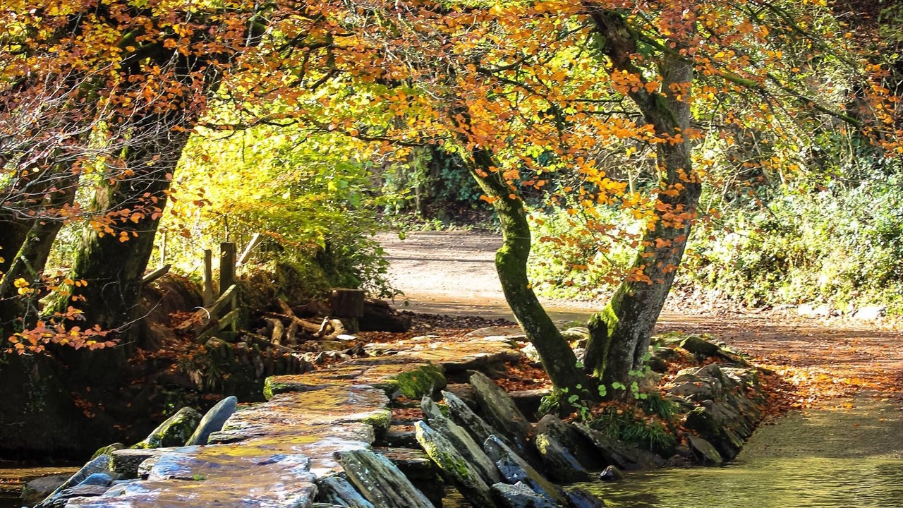 Photo of Outdoor in Liscombe