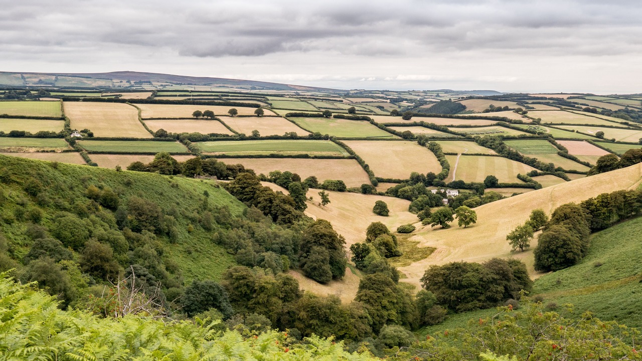 Photo of Outdoor in Liscombe