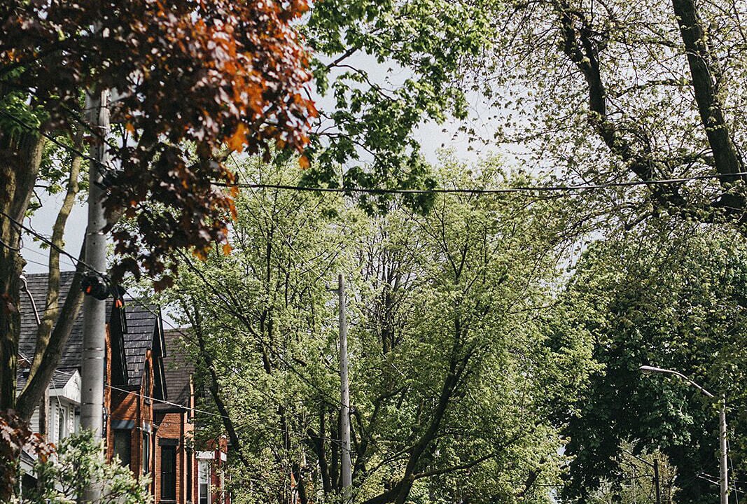 Photo of Outdoor in Parkdale