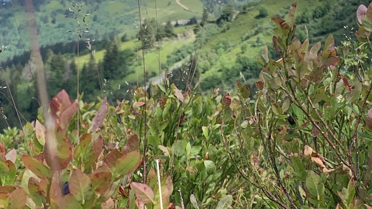Photo of Outdoor in La Giettaz