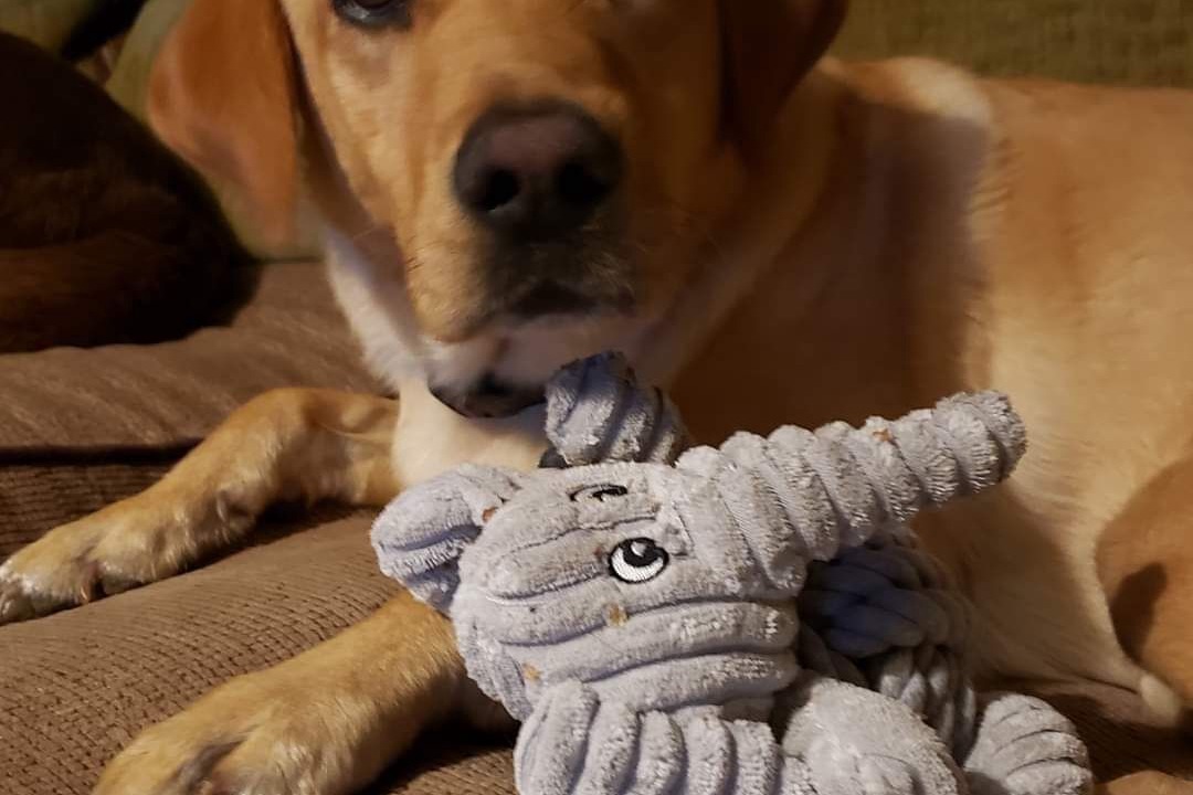 Photo of Others in Vasles