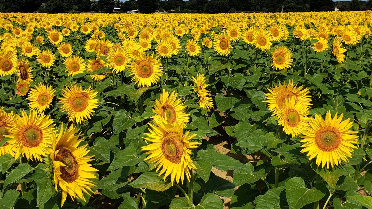 Photo of Outdoor in Vasles