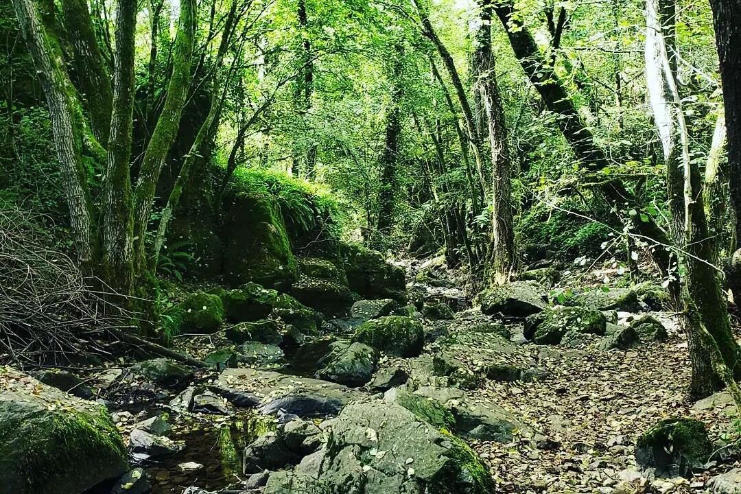 Photo of Outdoor in Vasles