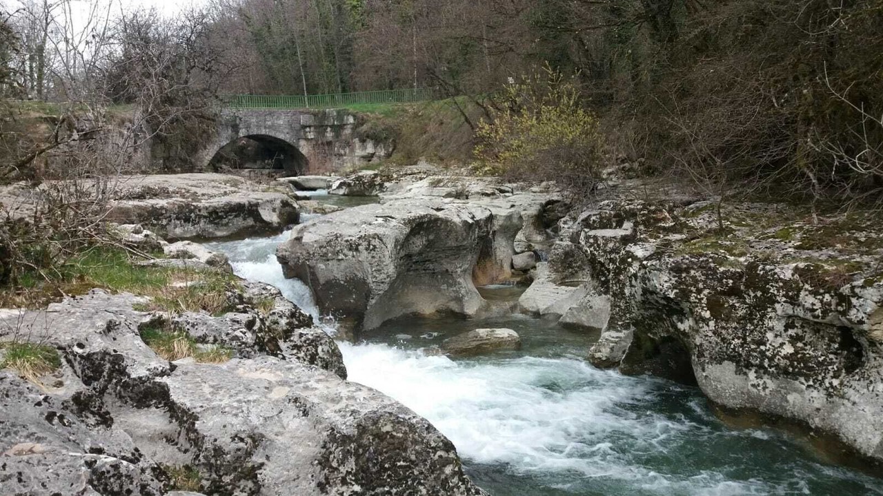 Photo of Others in Seyssel