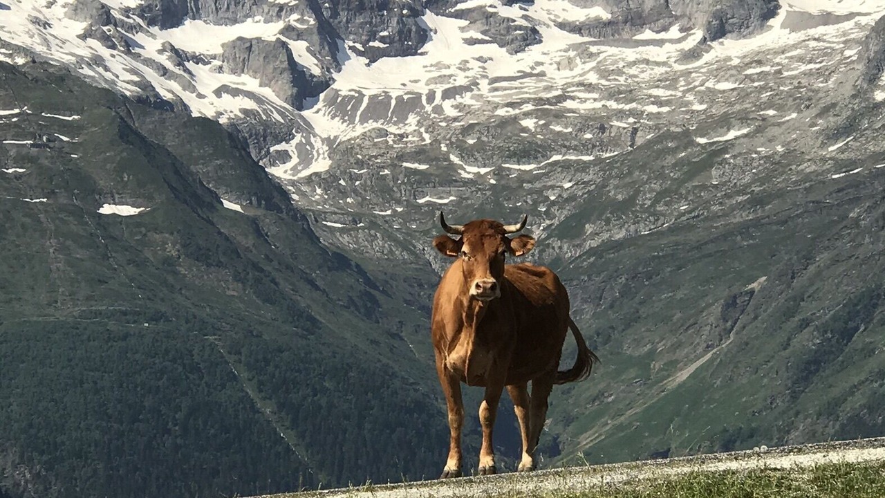 Photo of Outdoor in Saint-Aventin