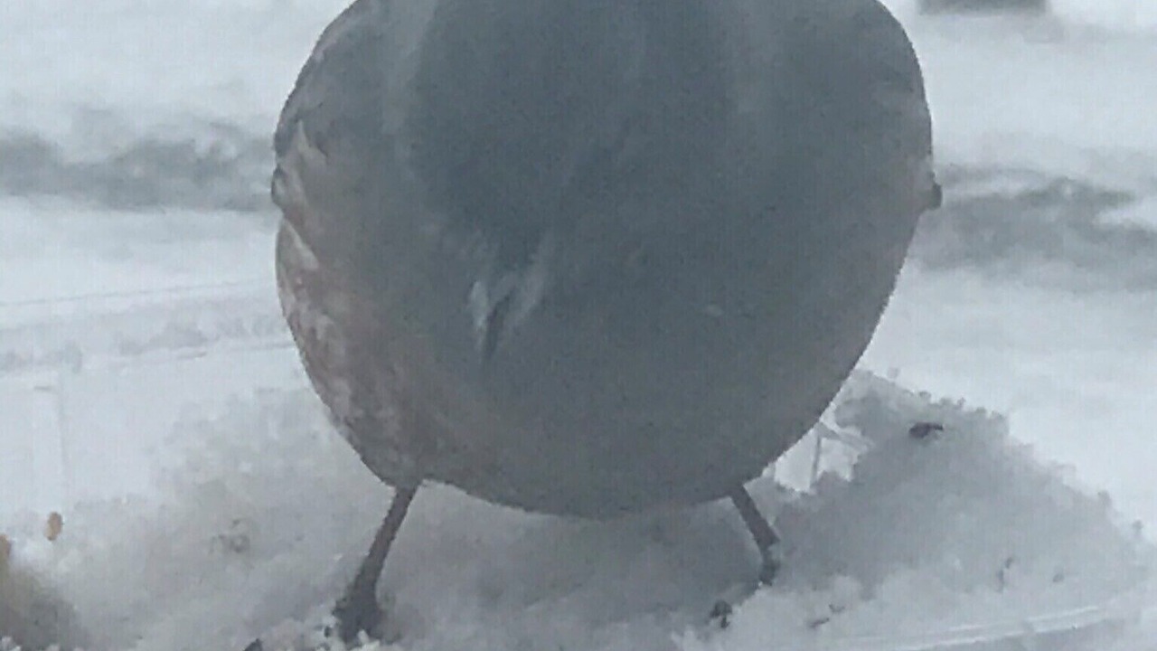 Photo of Outdoor in Saint-Aventin