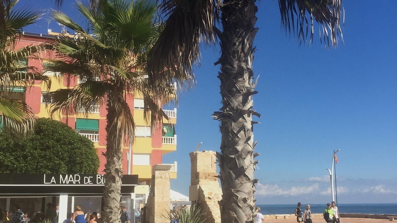 Photo of Others in La Mata