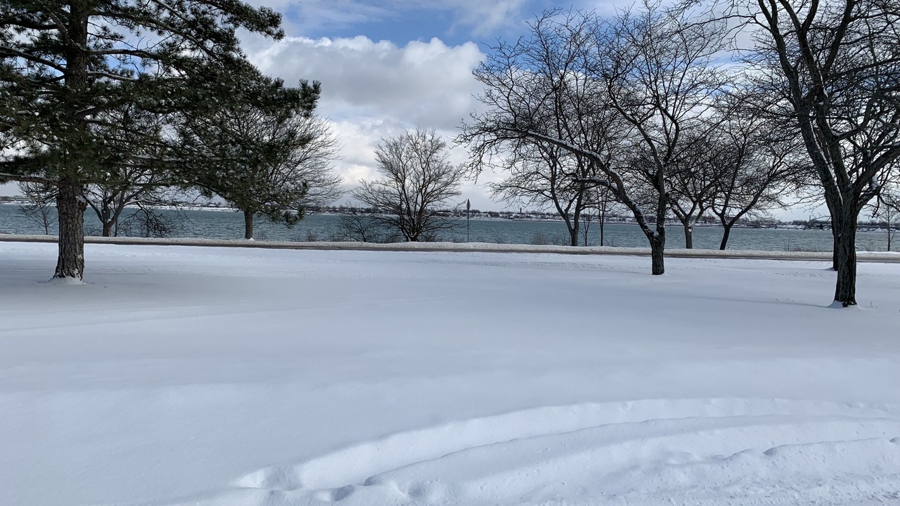Photo of Others in Fort Erie
