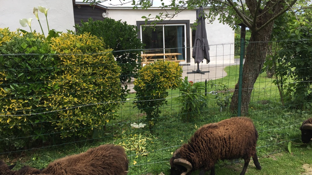 Photo of Outdoor in Saint-Lunaire