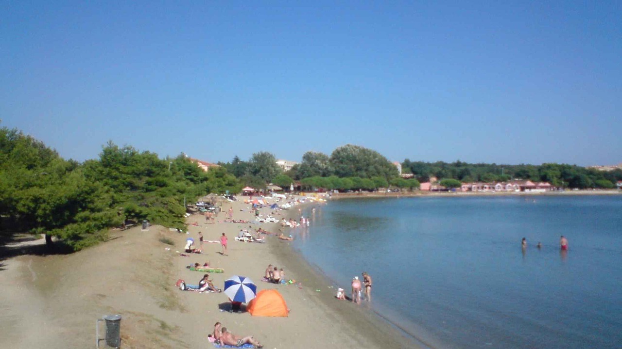 Photo of Others in Suha Punta