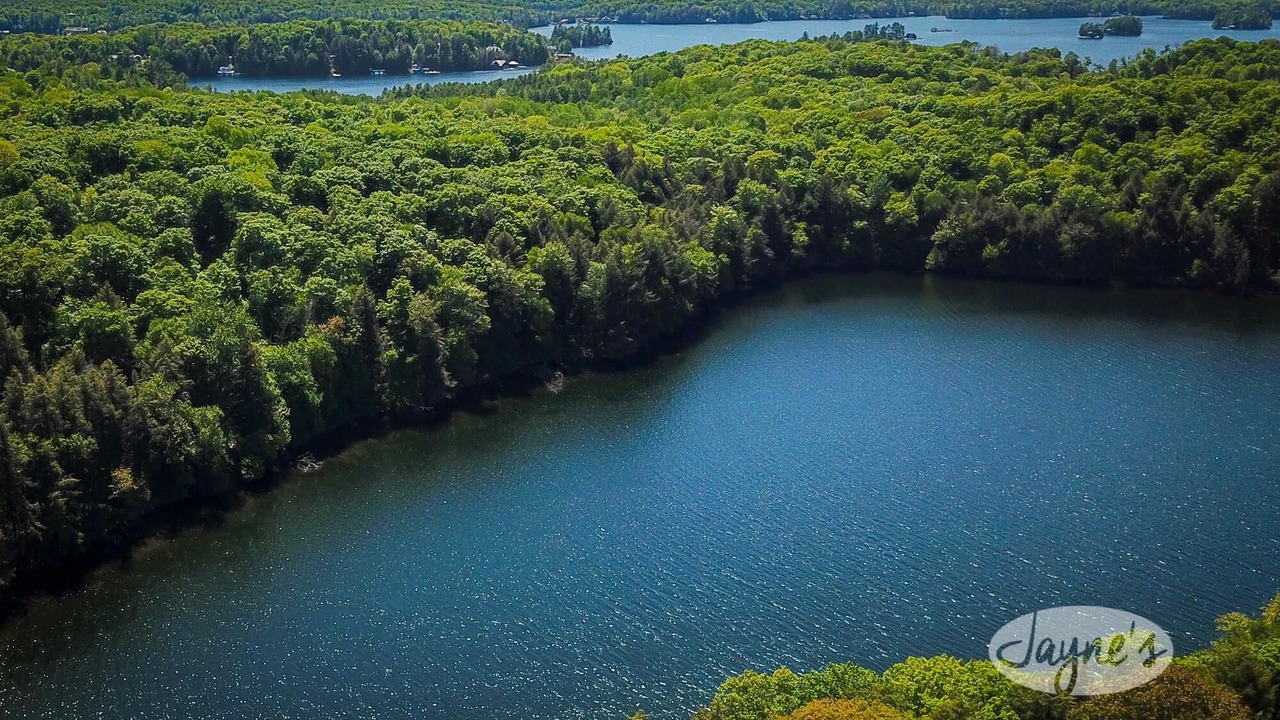 Photo of Others in Muskoka Lakes