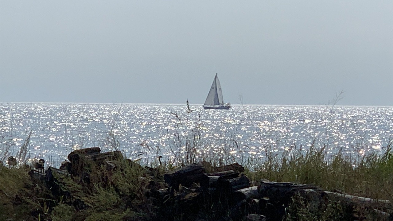 Photo of Others in Ruthven