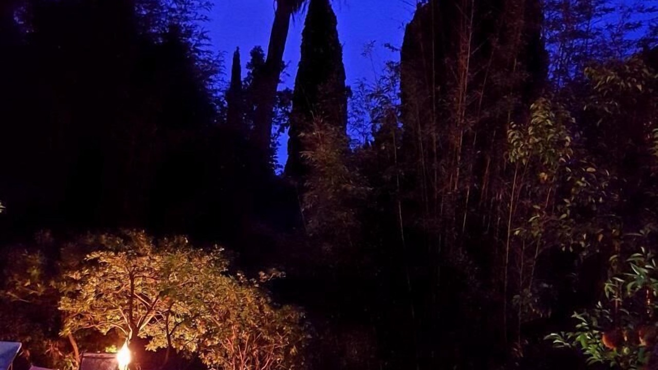 Photo of Outdoor in Carqueiranne