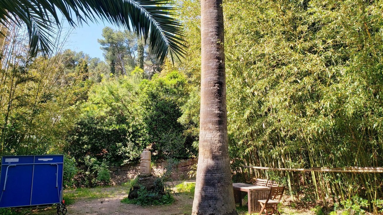 Photo of Outdoor in Carqueiranne