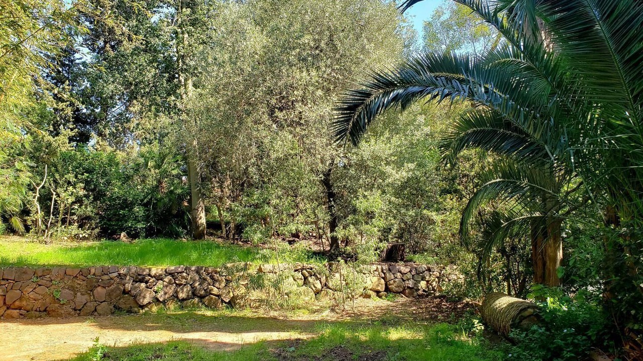 Photo of Outdoor in Carqueiranne