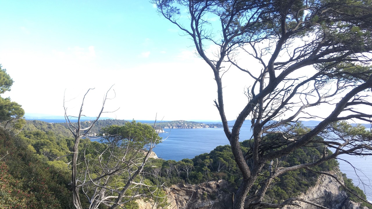 Photo of Others in La Capte