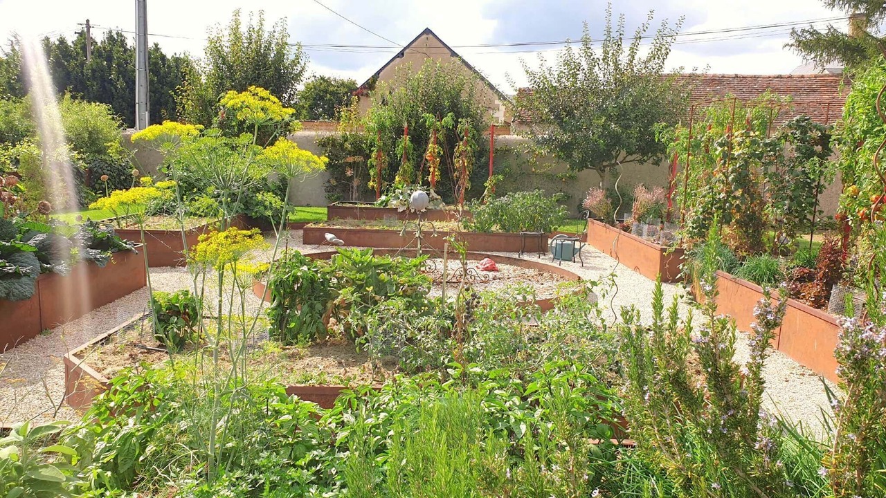 Photo of Outdoor in Pontlevoy