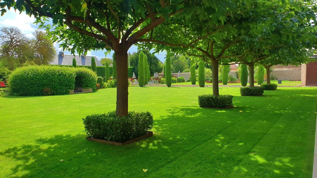 Photo of Outdoor in Pontlevoy