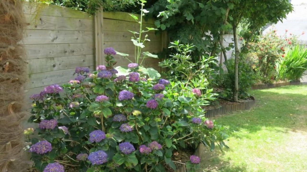 Photo of Others in Theix-Noyalo