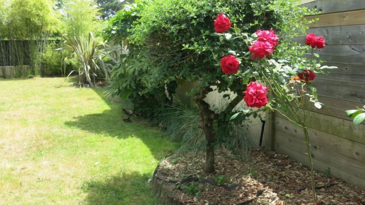 Photo of Others in Theix-Noyalo