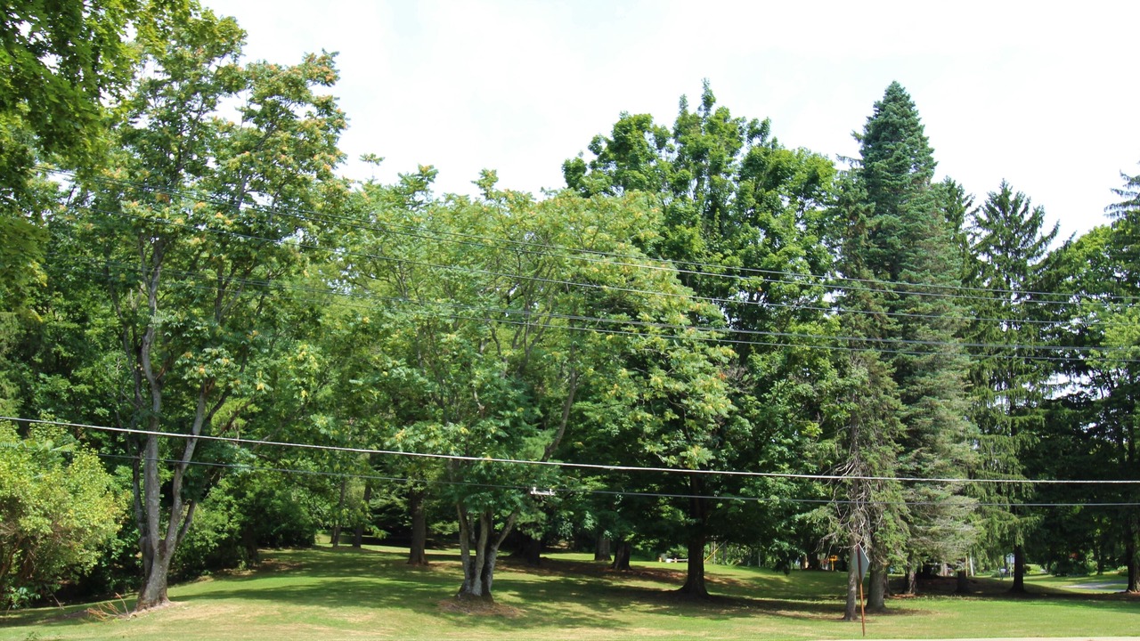 Photo of Outdoor in East Aurora