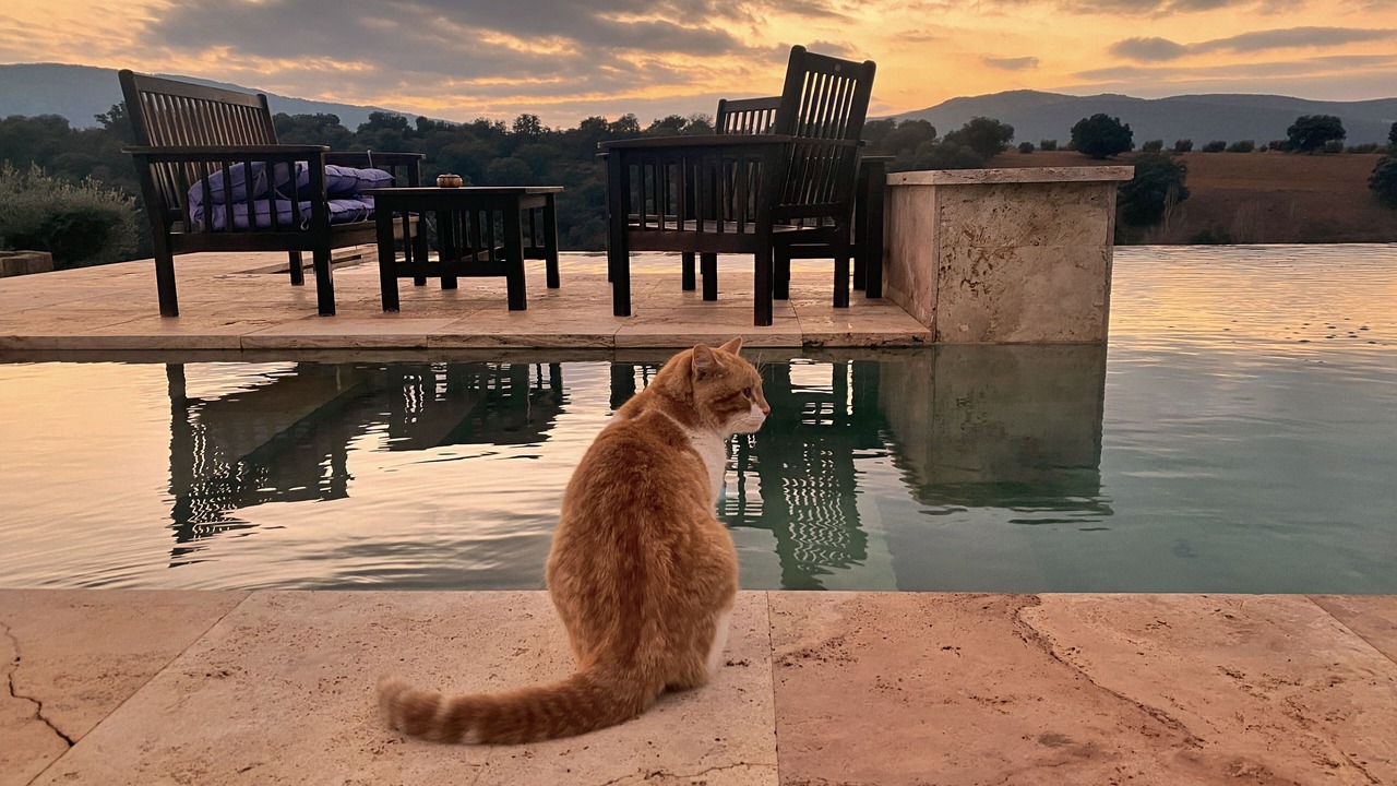 Photo of Outdoor in Hontanar