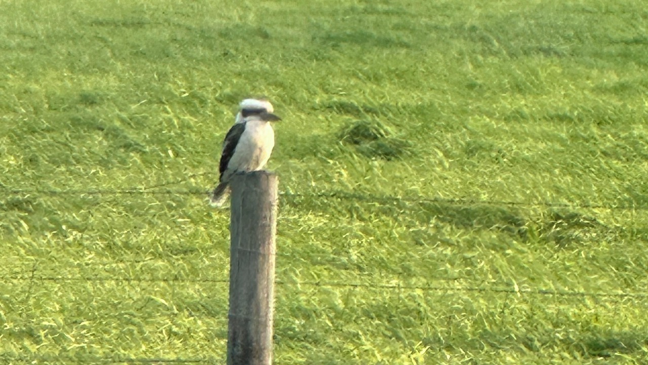 Photo of Others in Toora