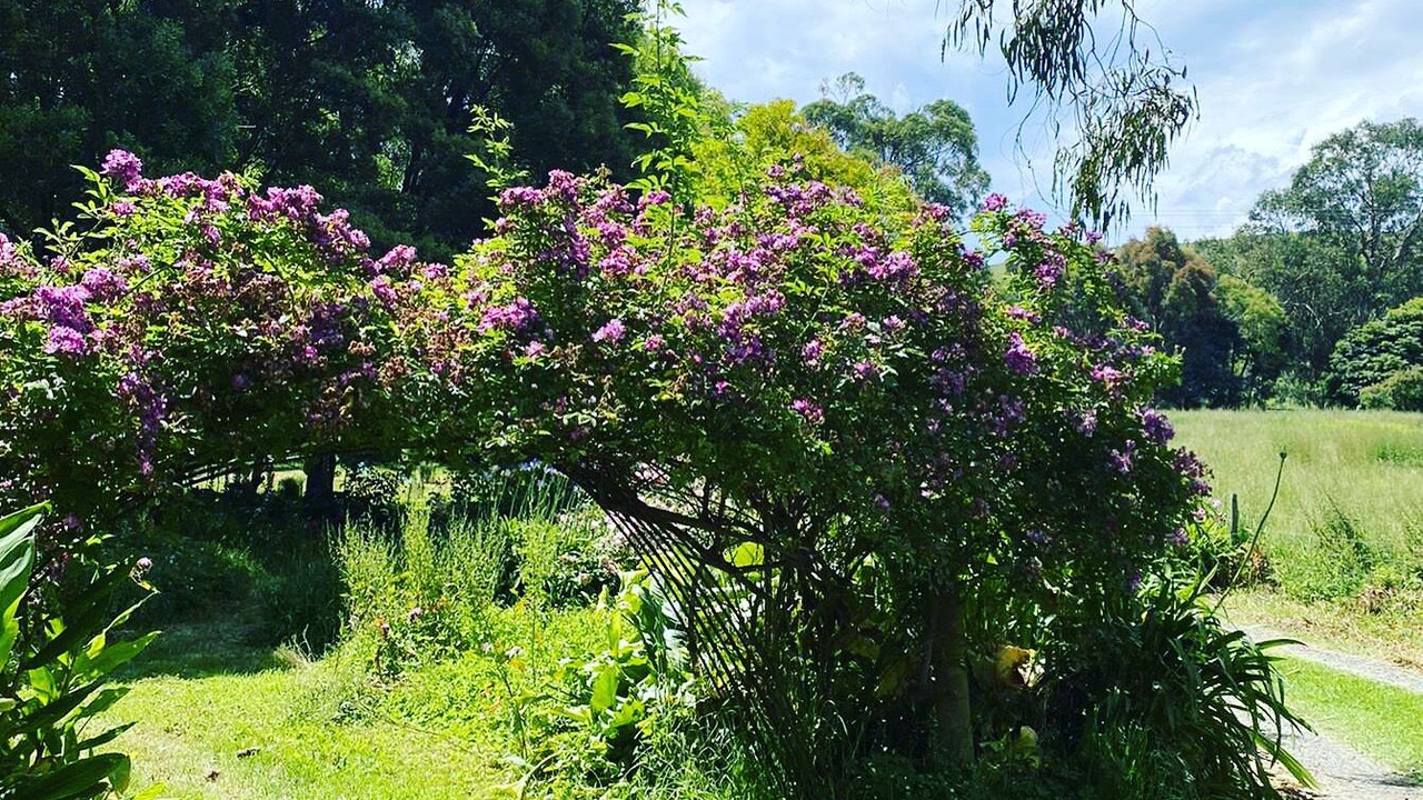 Photo of Outdoor in Toora