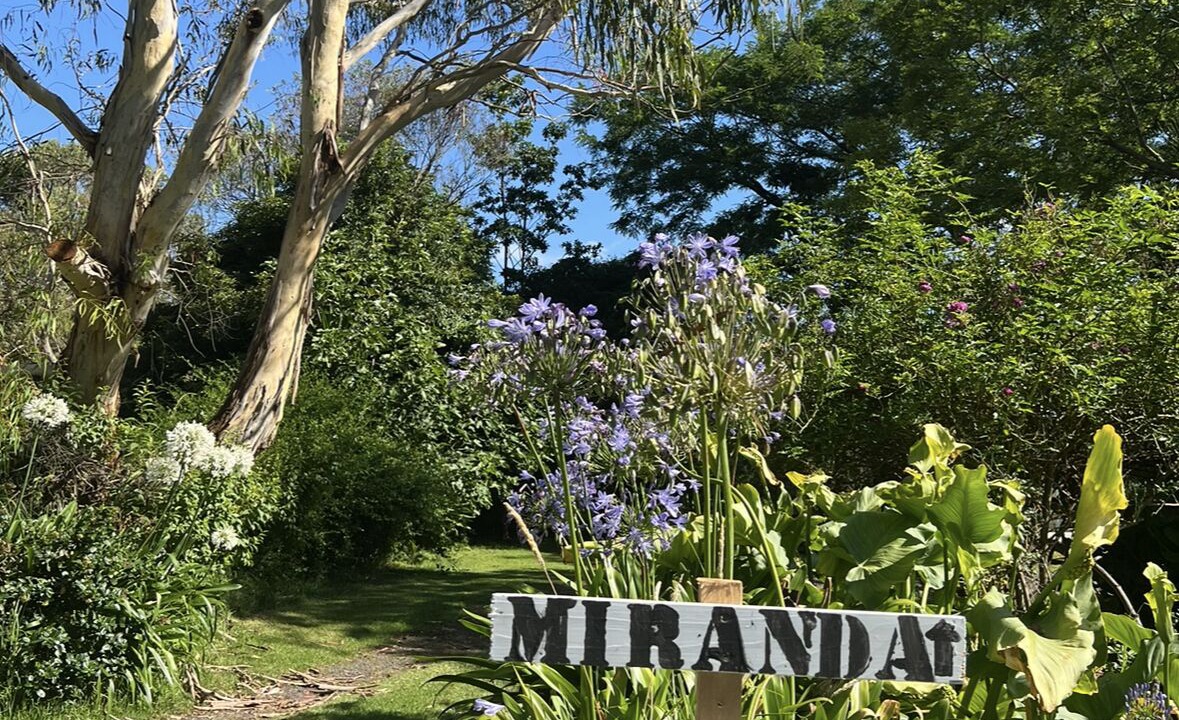 Photo of Outdoor in Toora