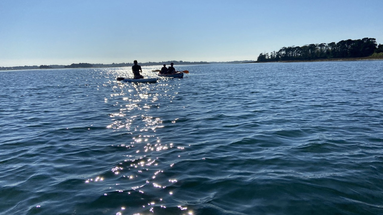 Photo of Others in Arradon