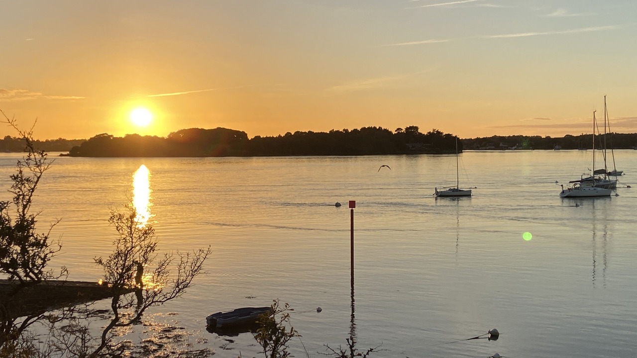 Photo of Others in Arradon