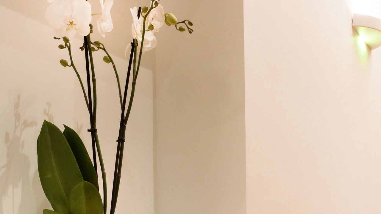 Photo of Others in Arradon