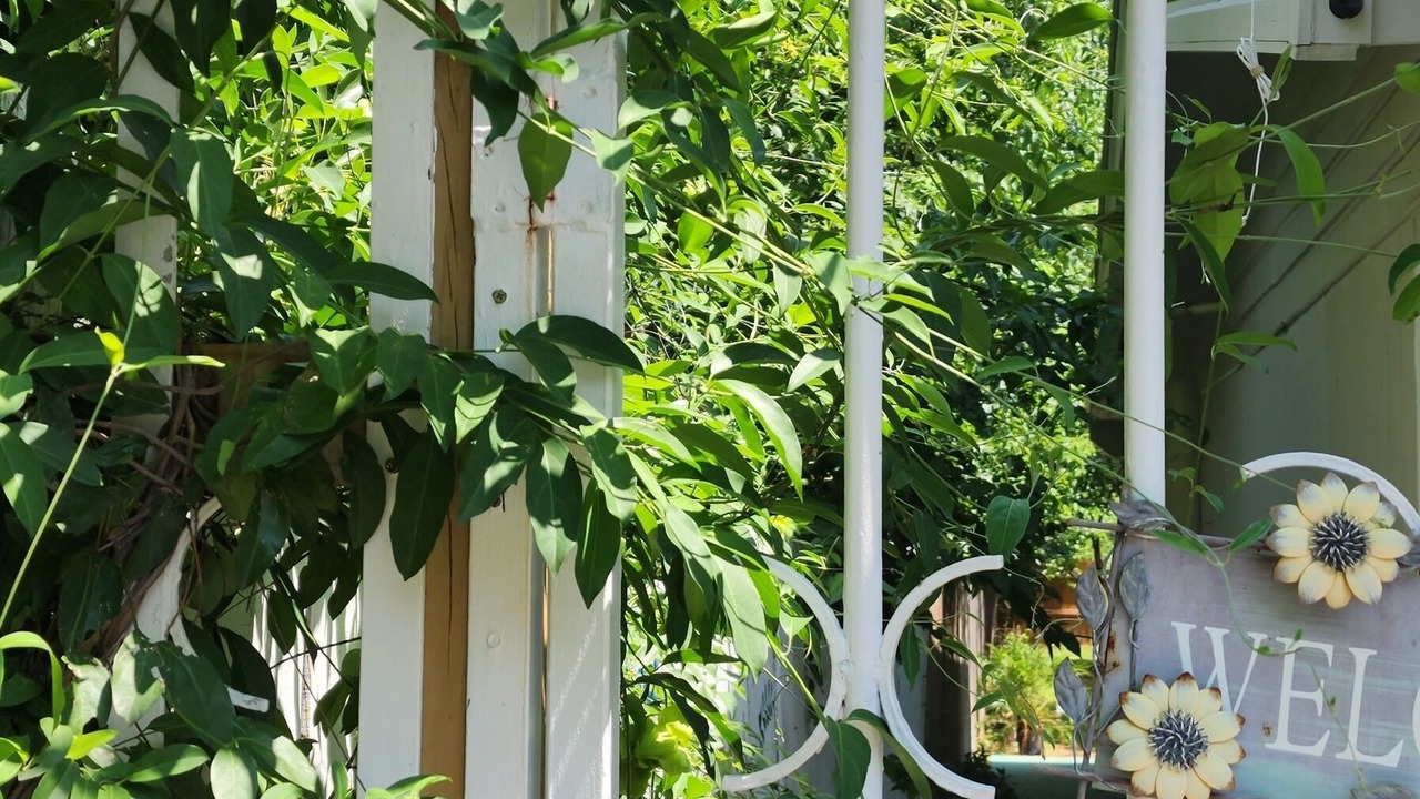 Photo of Outdoor in North San Antonio - SAT