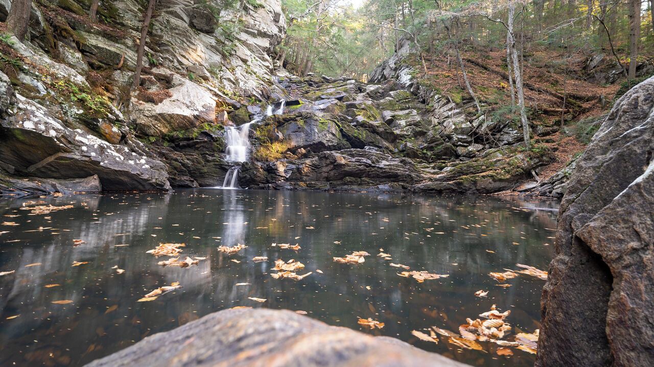 Photo of Others in Lenox