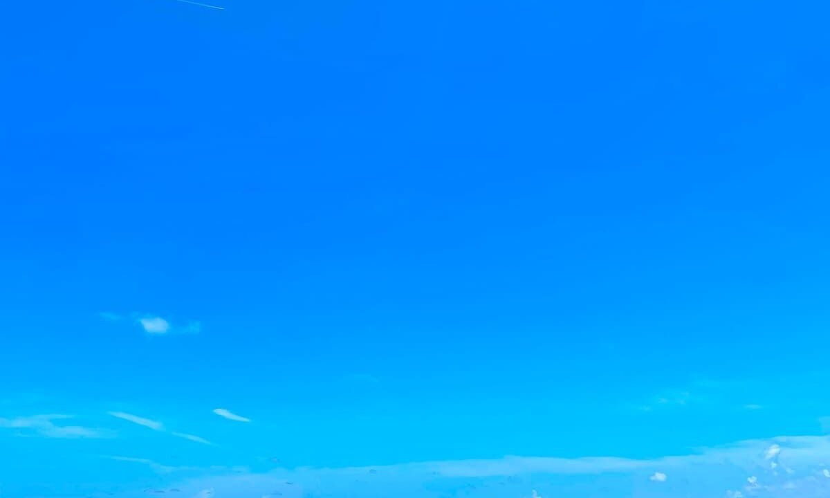 Photo of Others in Bostwick Park