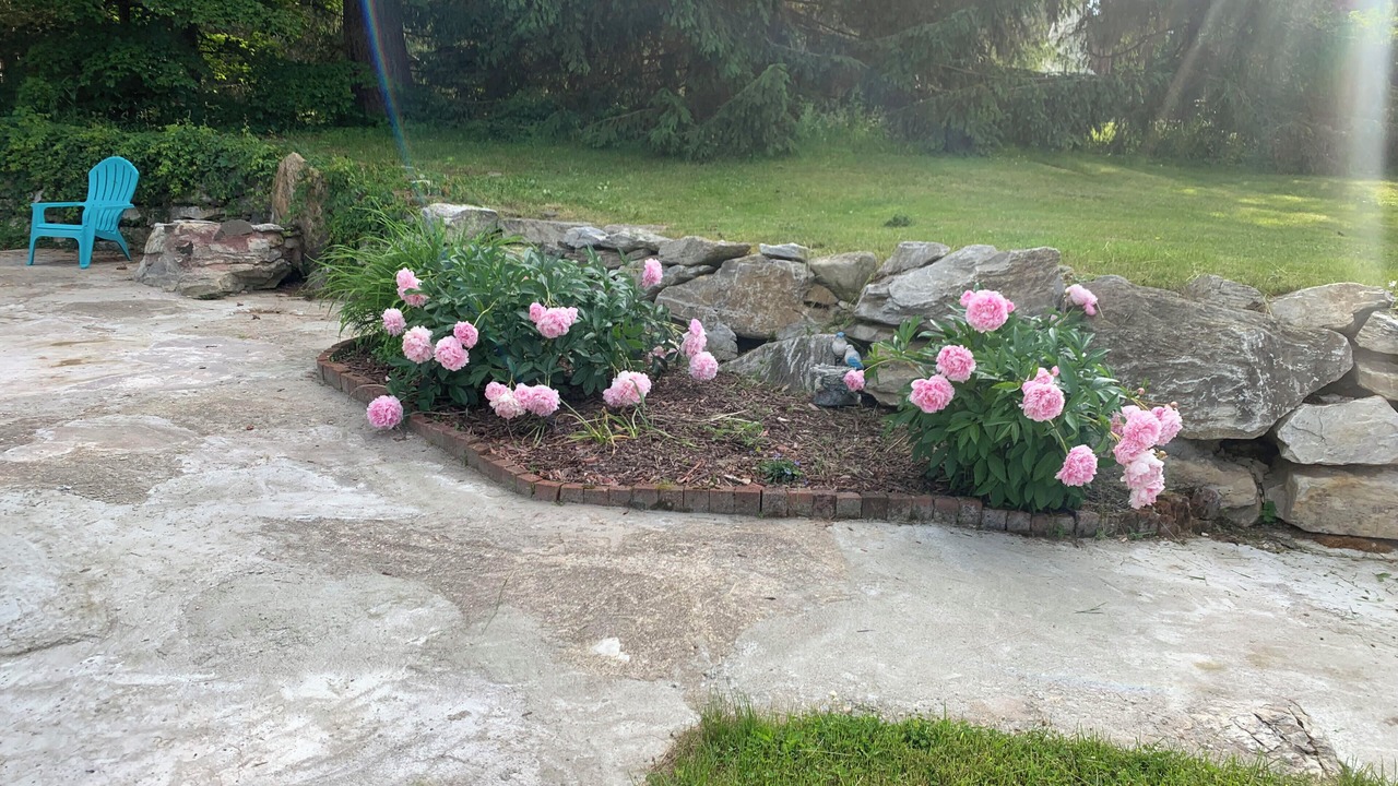 Photo of Outdoor in Egremont