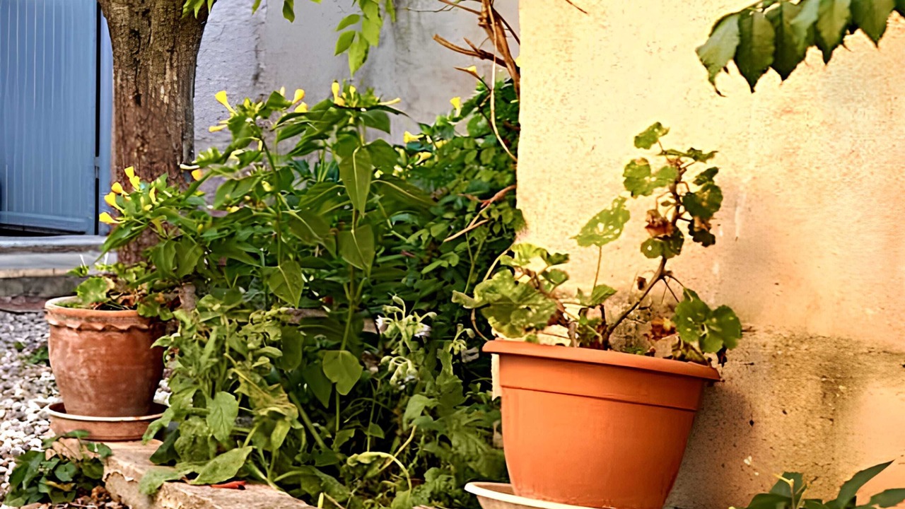 Photo of Outdoor in Le Pontet