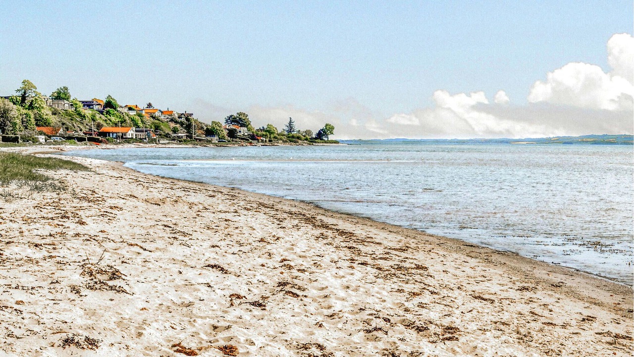 Photo of Others in Skæring