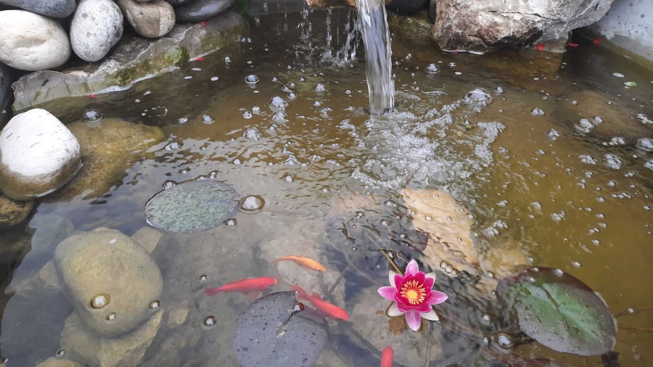 Photo of Outdoor in Lussas