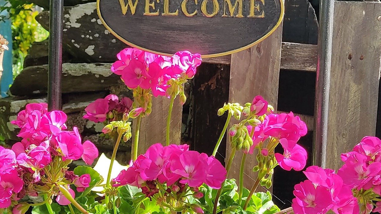 Photo of Outdoor in Le Louroux-Beconnais