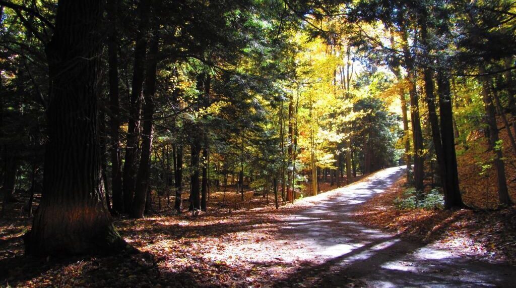 Photo of Outdoor in Shelby