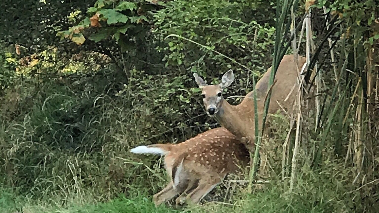 Photo of Outdoor in Harrison