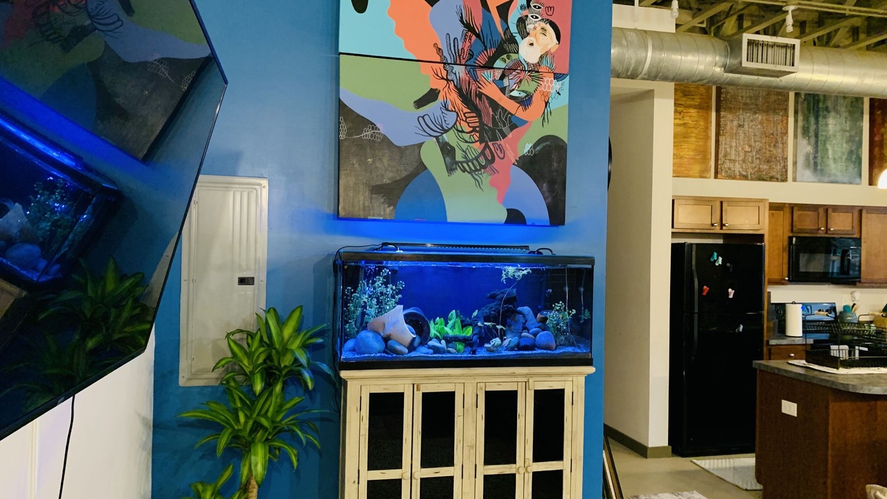 Photo of Others in Capitol View