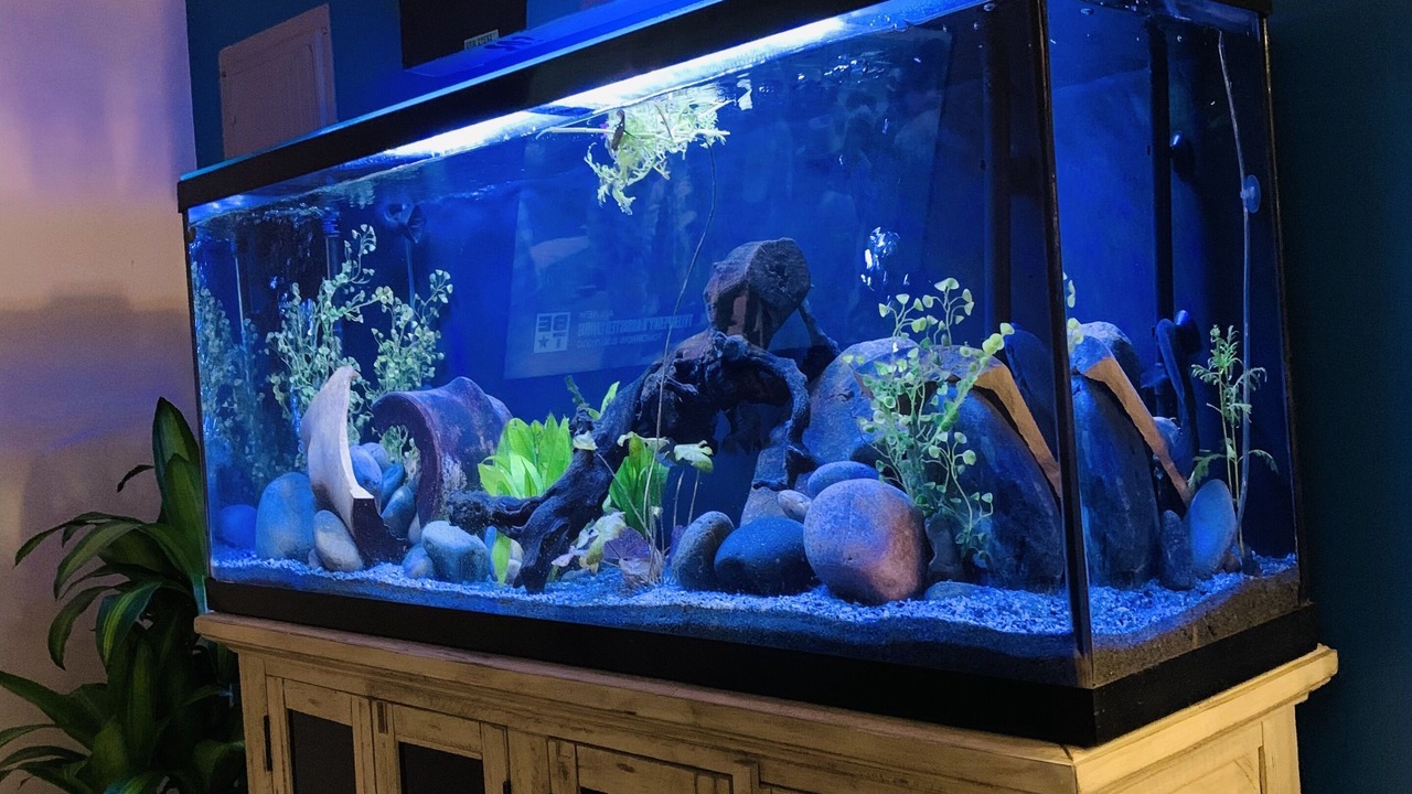 Photo of Others in Capitol View