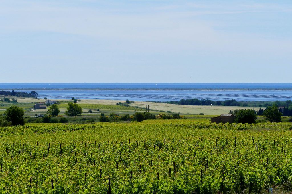 Photo of Others in Pomerols