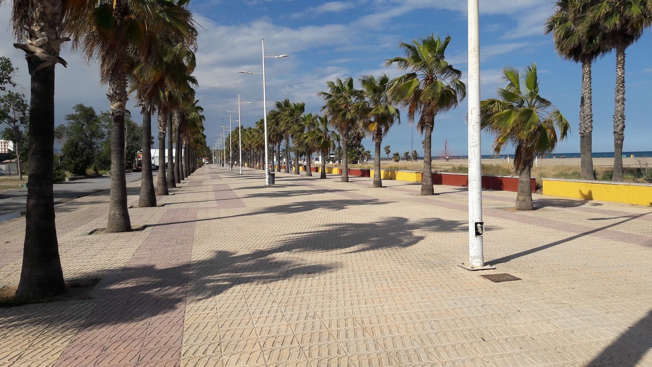 Photo of Outdoor in Burriana